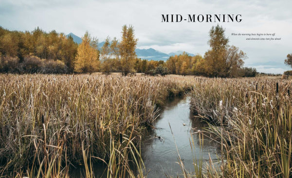 Peace in the West: The Rustic Luxury Interiors of William Peace