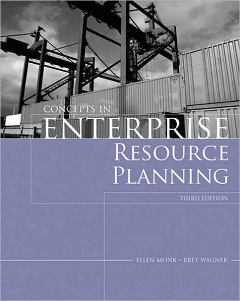 Enterprise Resource Planning / Edition 3