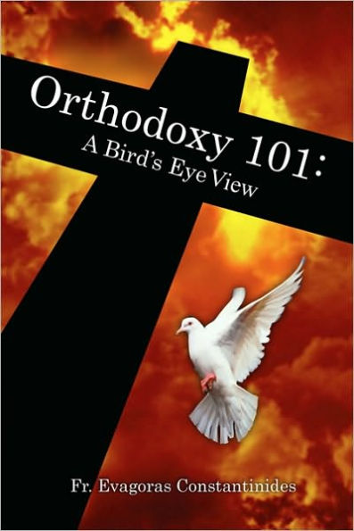 Orthodoxy 101: A Bird's Eye View