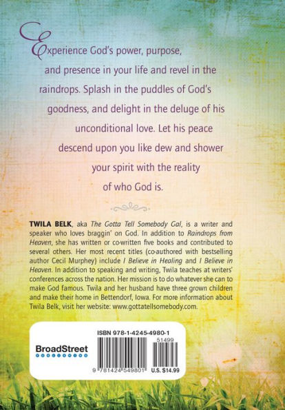 Raindrops from Heaven: Gentle Reminders of God's Power, Presence and Purpose