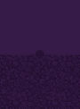 The Passion Translation New Testament Compact Violet: With Psalms, Proverbs, and Song of Songs