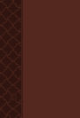 The Passion Translation New Testament (2020 Edition) Compact Brown: With Psalms, Proverbs and Song of Songs