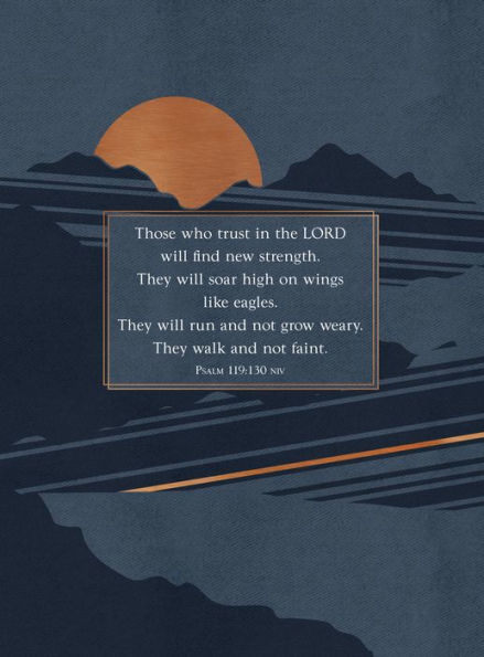 Strength for Today Teen Guys: 365 Devotions
