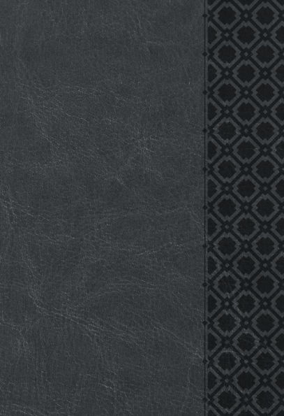 KJV Holy Bible Compact Granite
