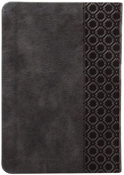 KJV Holy Bible Compact Granite