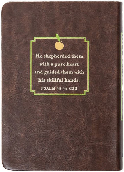 Apples of Gold: 365 Devotions for Leaders