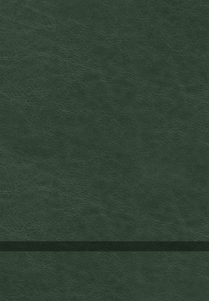 The Chosen Book Five: 40 Days with Jesus