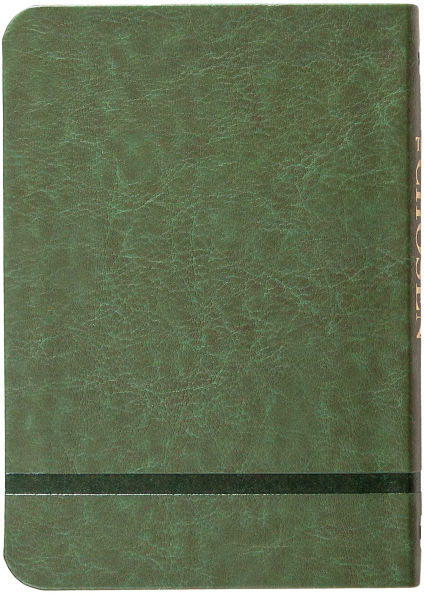 The Chosen Book Five: 40 Days with Jesus