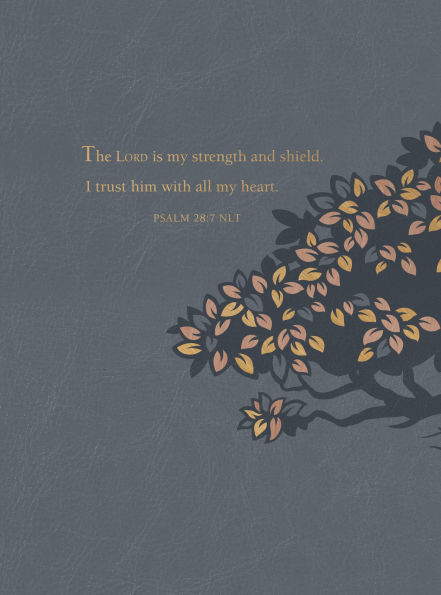 Strength for Life: 365 Daily Devotions Men