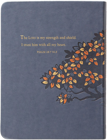 Strength for Life: 365 Daily Devotions Men