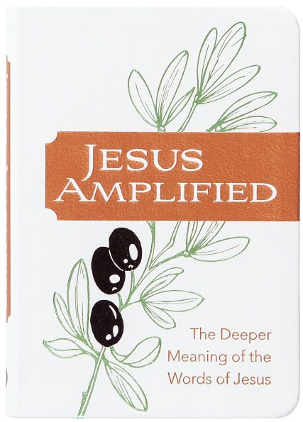 Jesus Amplified: the Deeper Meaning of Words