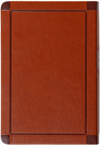 KJV Holy Bible Giant Print Compact Sienna