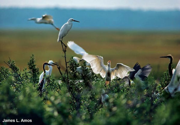 10 Best of Everything National Parks, The: 800 Top Picks From Parks Coast to Coast