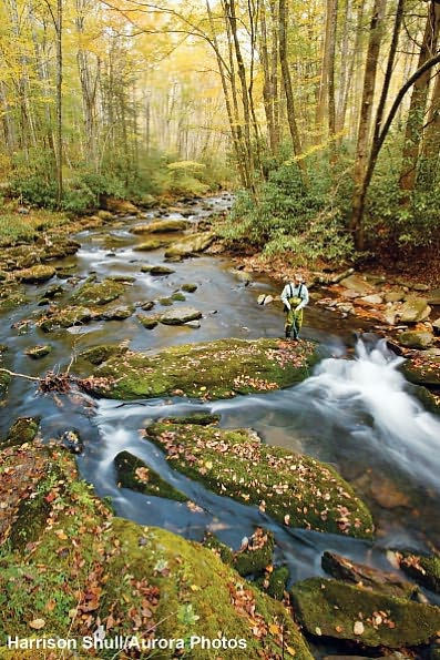 10 Best of Everything National Parks, The: 800 Top Picks From Parks Coast to Coast