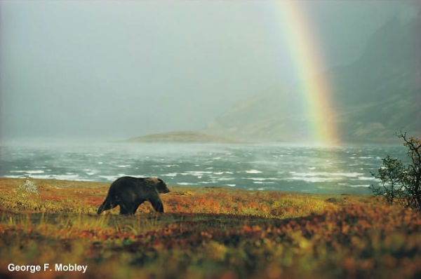 10 Best of Everything National Parks, The: 800 Top Picks From Parks Coast to Coast