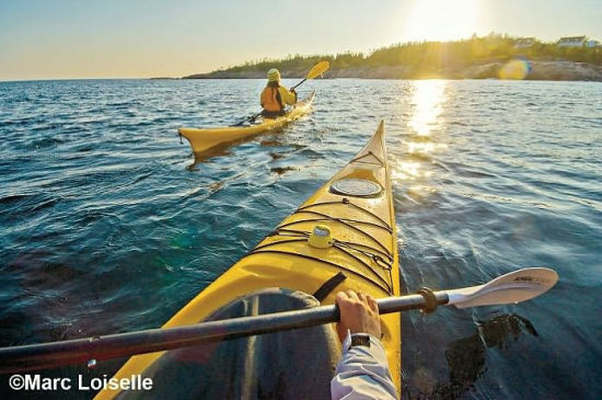 National geographic field guide to the waters edge beaches shorelines and riverbanks