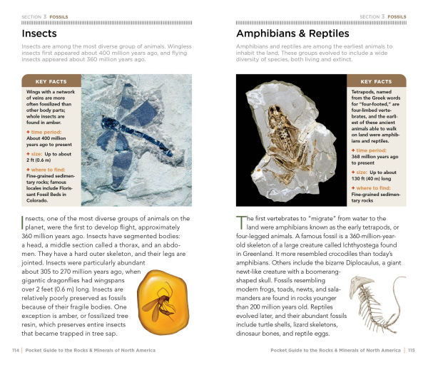 National Geographic Pocket Guide to Rocks and Minerals of North America