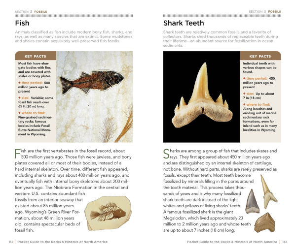 National Geographic Pocket Guide to Rocks and Minerals of North America