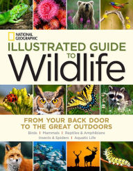 Title: National Geographic Illustrated Guide to Wildlife: From Your Back Door to the Great Outdoors, Author: National Geographic