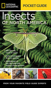 Title: National Geographic Pocket Guide to Insects of North America, Author: Arthur V. Evans