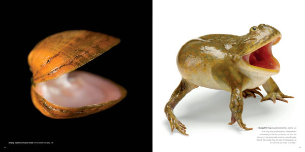 National Geographic The Photo Ark: One Man's Quest to Document the World's Animals