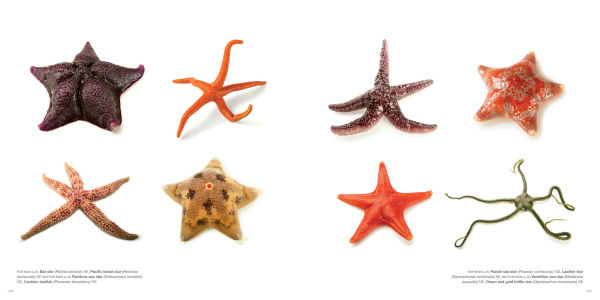 National Geographic The Photo Ark: One Man's Quest to Document the World's Animals