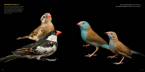 National Geographic The Photo Ark: One Man's Quest to Document the World's Animals