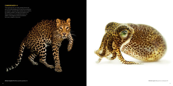 National Geographic The Photo Ark: One Man's Quest to Document the World's Animals