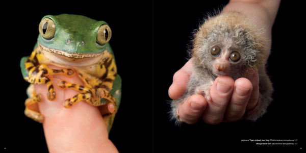 National Geographic The Photo Ark: One Man's Quest to Document the World's Animals