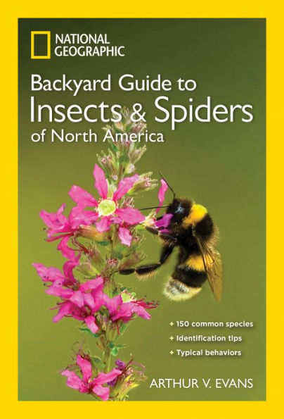 National Geographic Backyard Guide to Insects and Spiders of North America