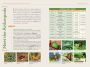 Alternative view 7 of National Geographic Backyard Guide to Insects and Spiders of North America