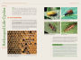 Alternative view 8 of National Geographic Backyard Guide to Insects and Spiders of North America