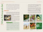 Alternative view 9 of National Geographic Backyard Guide to Insects and Spiders of North America