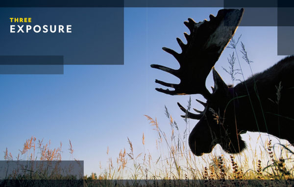 National Geographic Photo Basics: The Ultimate Beginner's Guide to Great Photography