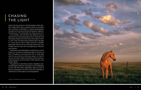 National Geographic Photo Basics: The Ultimate Beginner's Guide to Great Photography