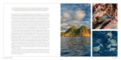 Alternative view 11 of 100 Dives of a Lifetime: The World's Ultimate Underwater Destinations