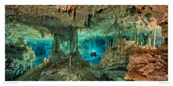 Alternative view 12 of 100 Dives of a Lifetime: The World's Ultimate Underwater Destinations