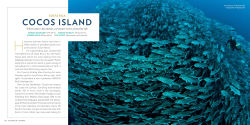 Alternative view 15 of 100 Dives of a Lifetime: The World's Ultimate Underwater Destinations