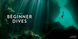 Alternative view 2 of 100 Dives of a Lifetime: The World's Ultimate Underwater Destinations