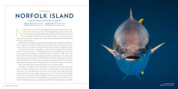 Alternative view 6 of 100 Dives of a Lifetime: The World's Ultimate Underwater Destinations