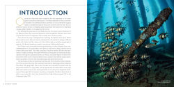 Alternative view 9 of 100 Dives of a Lifetime: The World's Ultimate Underwater Destinations