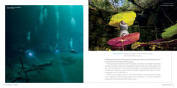 Alternative view 10 of 100 Dives of a Lifetime: The World's Ultimate Underwater Destinations
