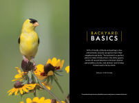 Alternative view 7 of National Geographic Backyard Guide to the Birds of North America, 2nd Edition