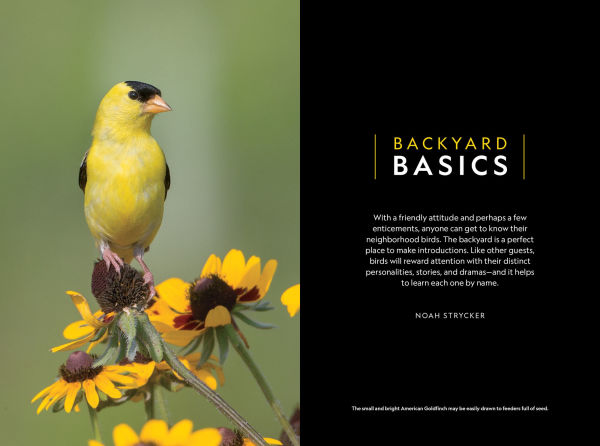 National Geographic Backyard Guide to the Birds of North America, 2nd Edition