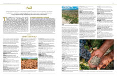 Alternative view 6 of The New Sotheby's Wine Encyclopedia