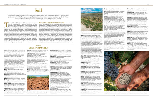 The New Sotheby's Wine Encyclopedia