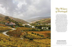 Alternative view 7 of The New Sotheby's Wine Encyclopedia