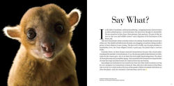 Alternative view 2 of National Geographic Photo Ark Wonders: Celebrating Diversity in the Animal Kingdom