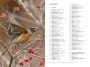 Alternative view 2 of National Geographic Field Guide to the Birds of the United States and Canada-East, 2nd Edition