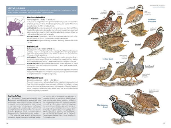 National Geographic Field Guide to the Birds of the United States and Canada-East, 2nd Edition